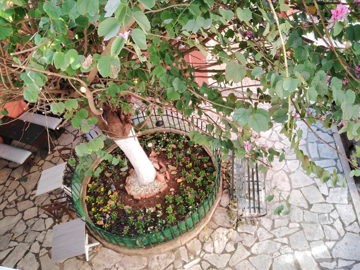 Lilliput Studio Corfu Old Town Exterior photo